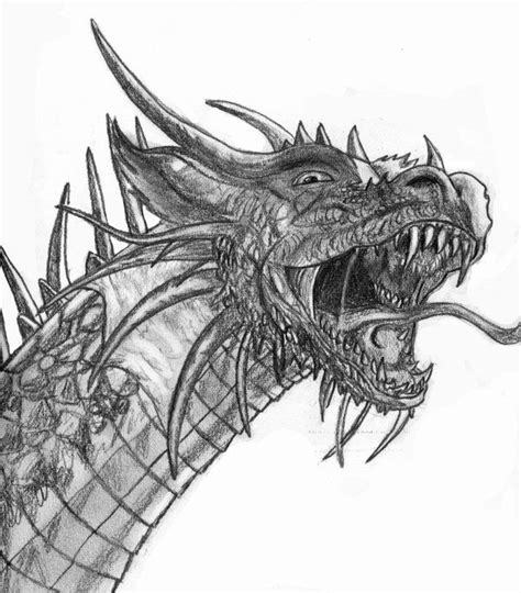Detailed Dragon Drawing At Explore Collection Of