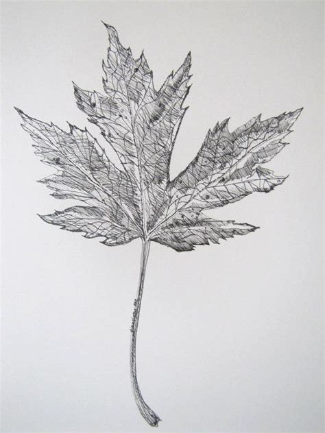 7x8 Leaf Autumn Ink Drawing Black And White By Myimaginationinink