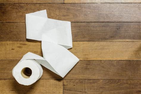 Couple Charged After Breaking In To A House And Stealing Toiletpaper IzzSo News Travels Fast