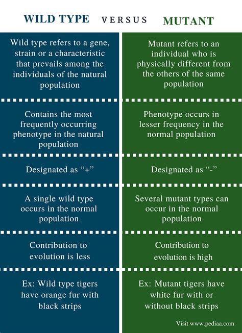 Difference Between Wild Type and Mutant | Definition, Characteristics