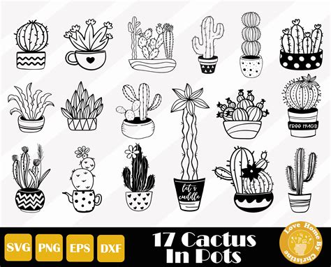 17 Cute Cactus Svg Cactus Clipart Gardening Svg Succulent Etsy