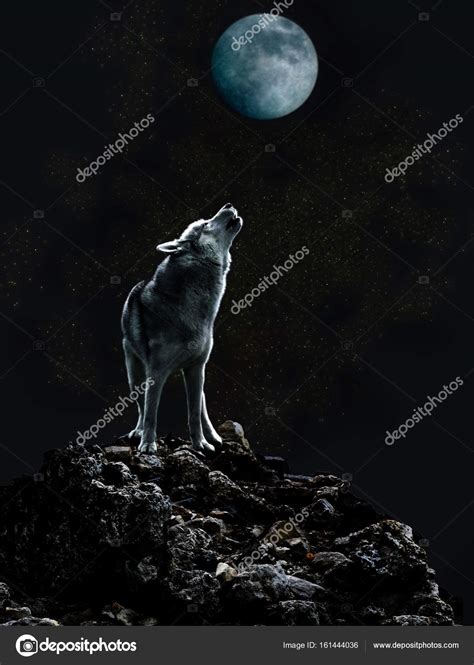 Sad Wolf Howl