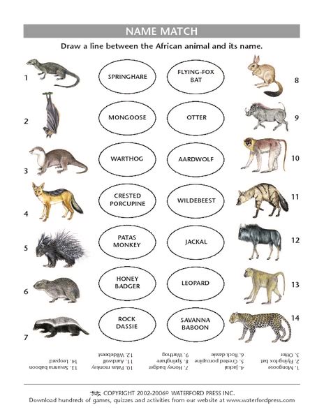 Name Match African Mammals Lesson Plan For 5th 6th Grade Lesson Planet