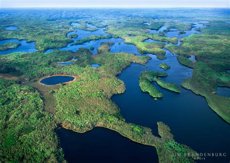 Boundary Waters Day A History Of Protecting The Wilderness Save The