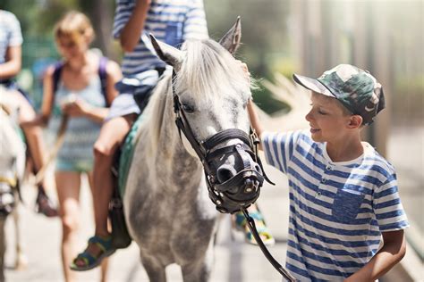 What You Should Know Before You Go Horse Riding Uk