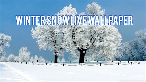 Winter Snow Live Wallpaper Youtube