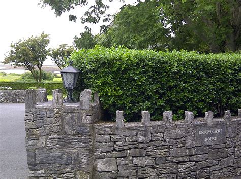 Love The Mix Of Hedge And Stone Dont Like The Little Accents Stone