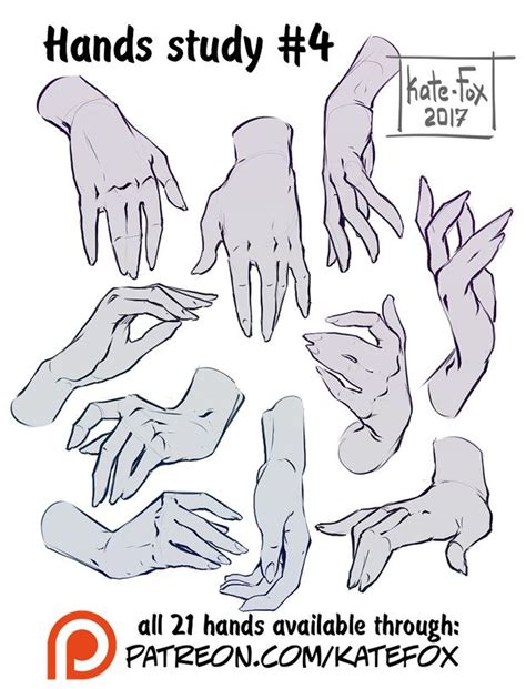 Hand Study 4 Kate Fox On Patreon Hand Drawing Reference Drawing