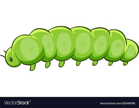 Caterpillar In Green Color Royalty Free Vector Image