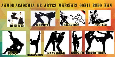 Associação De Artes Marciais Ookii Budo Kanacademia De Artes Marciais