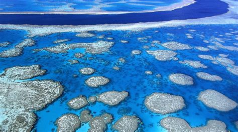 Hardy Reef Pontoon In The Beautiful Whitsunday Islands