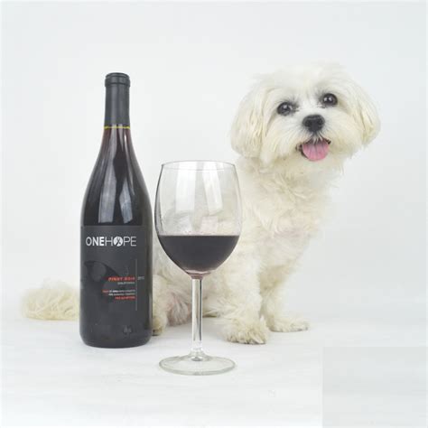 Best Wines That Support Dog Causes Little Ls Artisan Dog Treats
