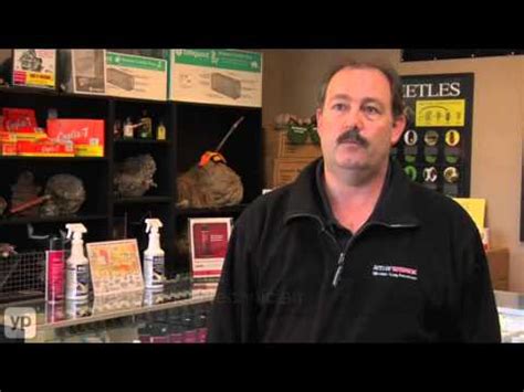 Based in columbus and serving central ohio and northern kentucky. Action Pest Control Inc. | Columbus, OH | Exterminator ...