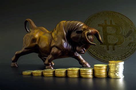 So, what did the stock market do today? Why The Next Crypto Bull Run Will be Several Magnitudes Bigger
