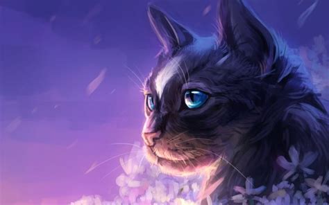 Cute Purple Cat With Green Eyes Hd Wallpaper Background Image 2500x1962