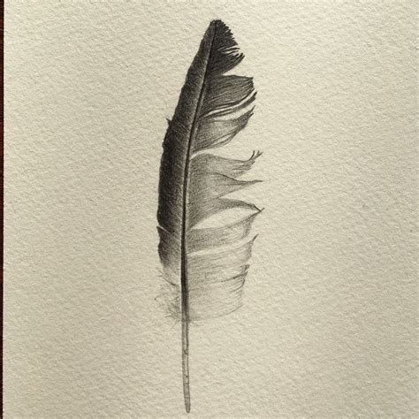 Pencil Drawing Of A Feather Feather Drawing Feather Sketch Charcoal Art