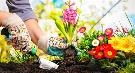 Mantenimiento Nueve Claves Indispensables Para Cuidar Tu Jardín