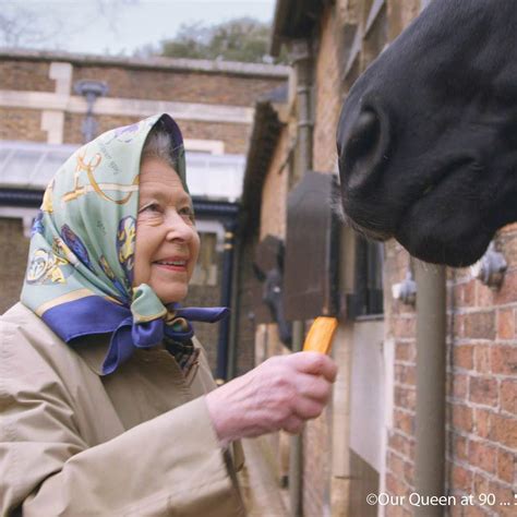 Sua majestade, a rainha isabel ii de espanha a forma de tratamento e o título completo do monarca foram sua majestade católica dona isabel ii, pela graça de deus, e pela constituição da monarquia espanhola, rainha da espanha. Rainha Isabel II mostra que apesar de confinada está de perfeita saúde - MoveNotícias