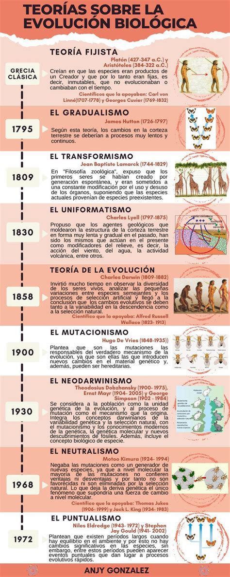 Línea De Tiempo Sobre Las Teorías De La Evolución Biológica Evolucion