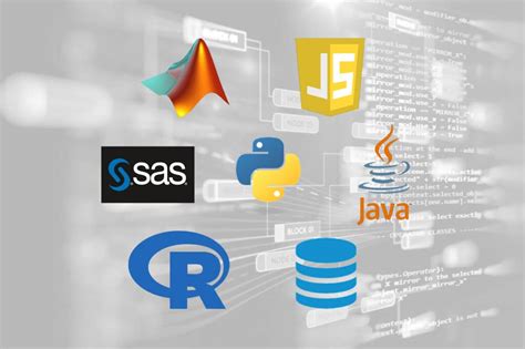 Top Programming Languages For Data Science In