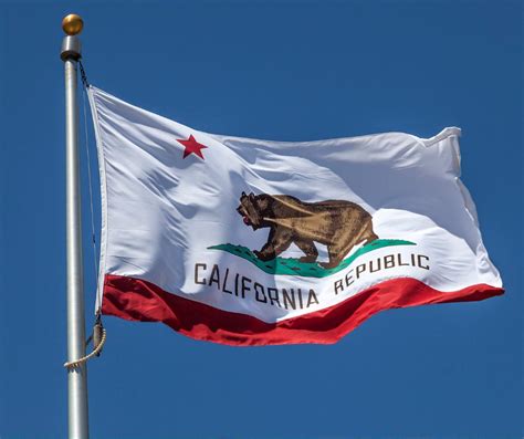 California State Flag 50states