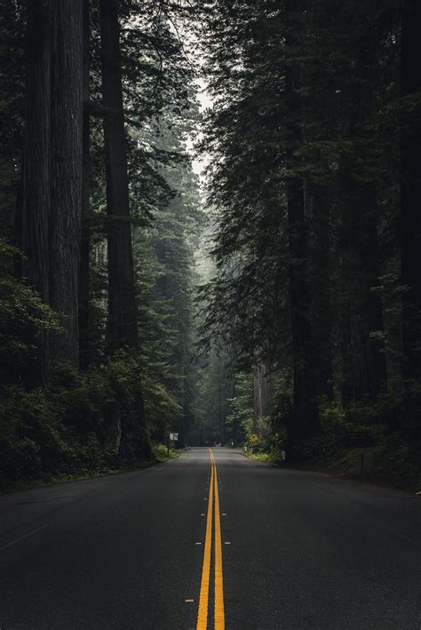 pnw aesthetic dark green aesthetic road photography landscape photography nature beautiful