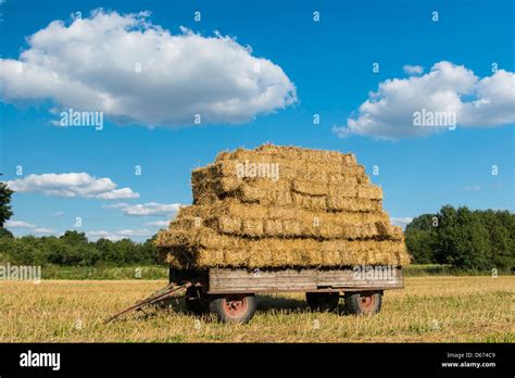 Harvesting Hi Res Stock Photography And Images Alamy