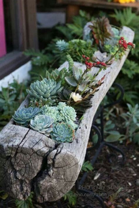 31 beautiful outdoor succulent planter ideas magzhouse