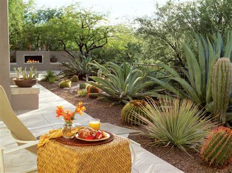 There are a lot of ideas and innovations out there to decorate and give your patio a defined, classy look that you will love. Image result for South West Garden Design | Desert ...