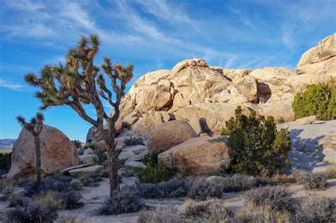 Doris The Explorist Camping At Jumbo Rocks At Joshua Tree National Park