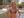 Michelle Hardwick Thefappening Nude Leaked Photots The Fappening