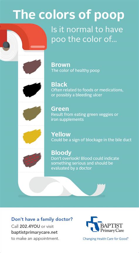What Poop Color Says About Your Health Baptist Health Jacksonville Fl
