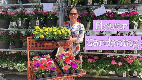 Explore a wide range of the best annual flower on aliexpress to find one that suits you! Annual Flower Gardening// Cherry Canada Vlog - YouTube