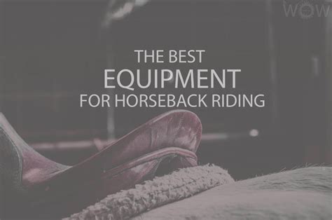 The Best Equipment For Horseback Riding 2023 Wow Travel