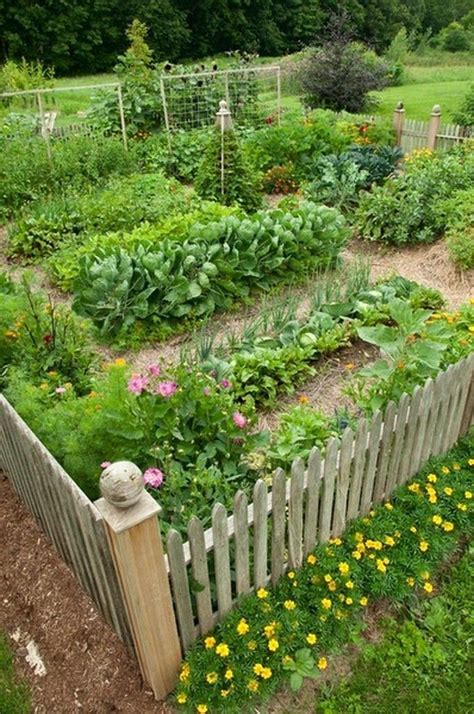 Front Yard Vegetable Garden Ideas A Guide To Creating A Sustainable