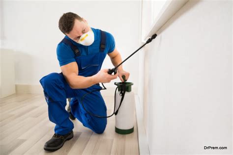 Some people know a lot about this topic. Top reasons when you should hire a pest control service