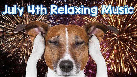 How Can I Calm My Dog During Fireworks