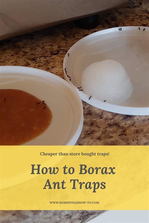 How To Make Borax Ant Traps In 2021 Borax For Ants Ants Borax