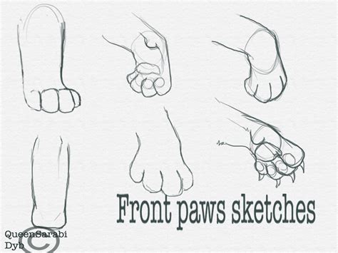 The best free ninjakato drawing images download from 5 free. Free Cat Paw Drawing, Download Free Cat Paw Drawing png ...