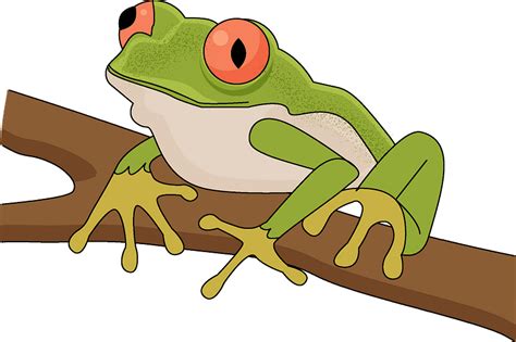 Free Tree Frog Cliparts Download Free Tree Frog Cliparts Png Images