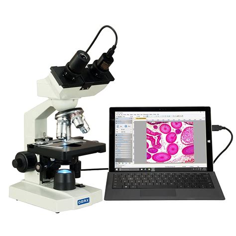 Top 22 Mejores Microscopios Mecanicos Mes 2024 【actualizado】