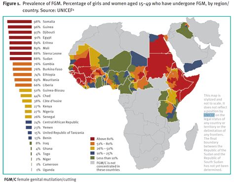 Fgm C Female Genital Mutilation Cutting Obsgyn Wiki