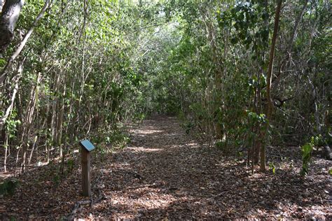 Tree Tops Park Florida Hikes
