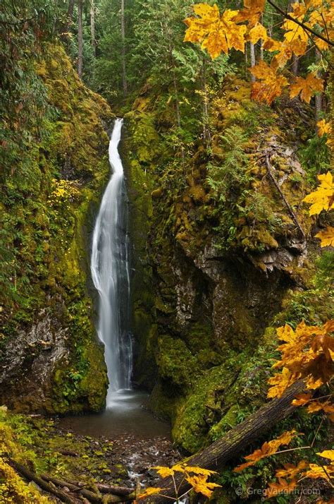 Pinard Falls Umpqua National Forest Or Oregon Waterfalls Waterfall