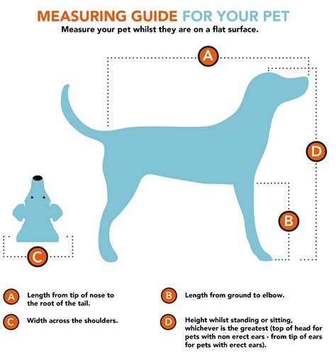 How Do I Measure My Dogs Height