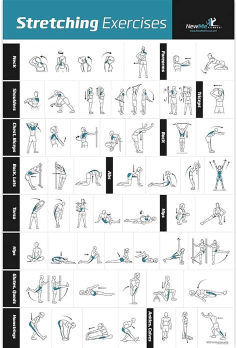Stretching Exercises Fitness Workout Instructional Wall Chart Poster