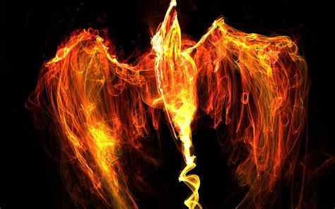 Fire Phoenix Bird Rising From the Ashes | Phoenix woman | Pinterest | Phoenix bird, Phoenix and 