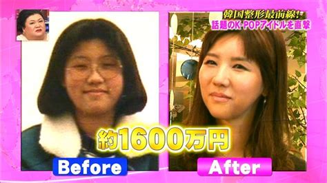 どうもありがとうございます, ご清聴ありがとうございます, お時間をいただきありがとうございま 見てみるよりほかはありません （拍手） どうもありがとうございます （拍手）. 韓国の美容整形手術は失敗が多くて損害賠償・慰謝料請求訴訟 ...