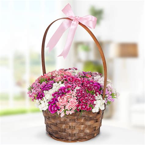 Send Flowers Turkey Sweet William Flowers In Basket From 47usd