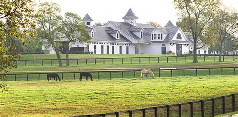 Kentucky Horse Farms For Sale Louisville Ky
